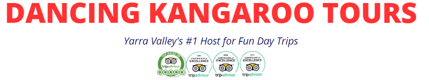 Dancing Kangaroo Tours Logo