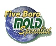 Five Boro Mold Specialist Logo