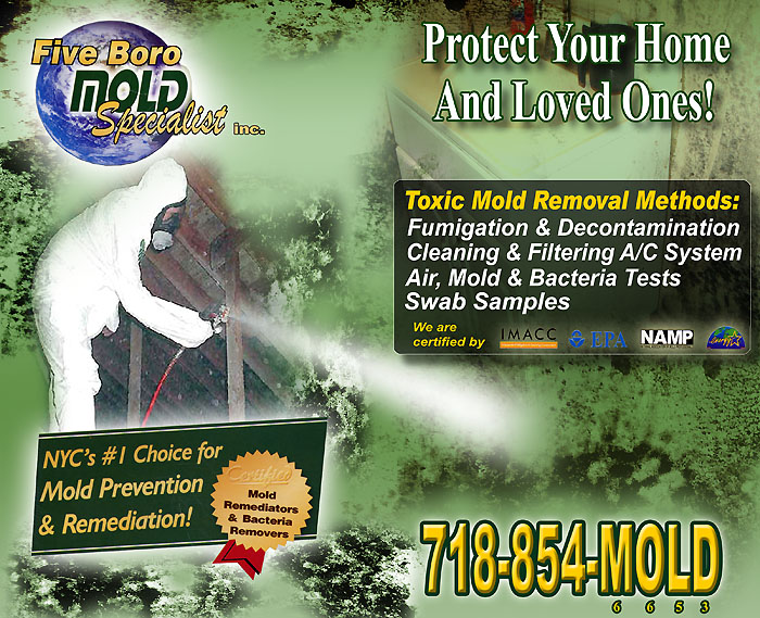 NYC Mold Removal Companies