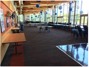 DNA Pro Cleaning & Restoration'