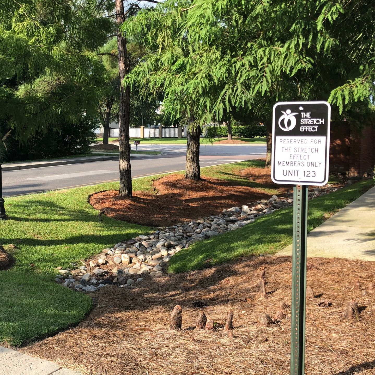 Company Logo For The Stretch Effect'