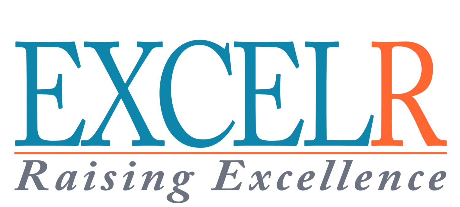Company Logo For ExcelR Solutions'