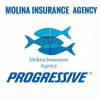Molina Insurance Agency, LLC'