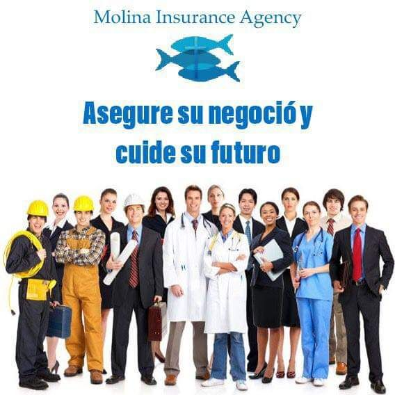 Auto Insurance'
