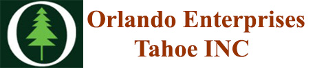 Company Logo For Custom House Plans Washoe County NV'