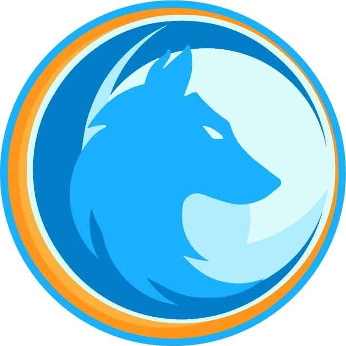 Water Wolf Power Washing