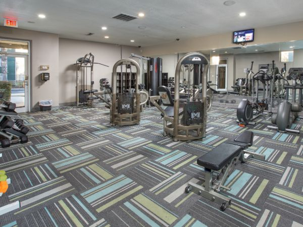 Tallahassee Student Apartments'