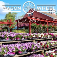 Wagon Wheel Logo