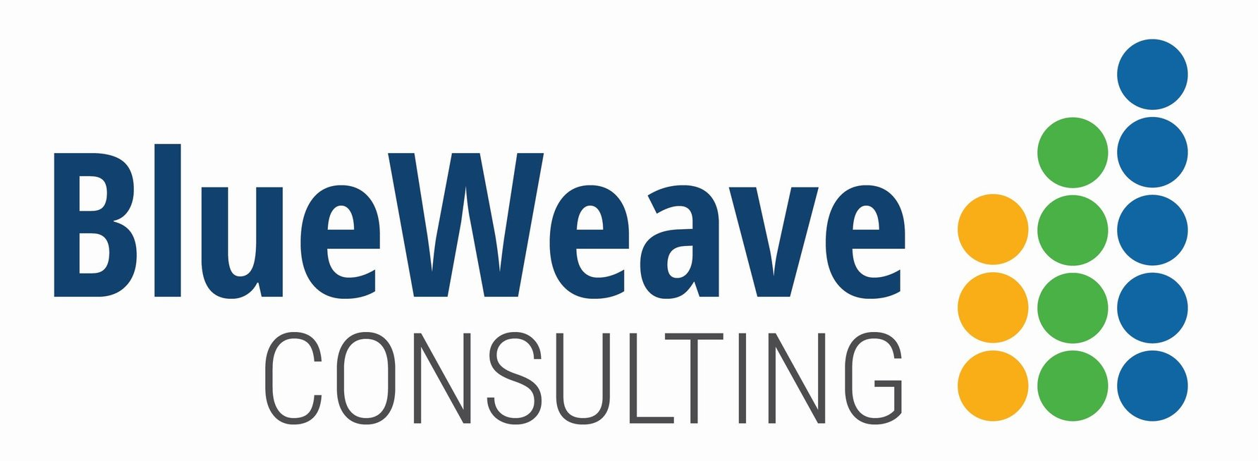 BLUEWEAVE CONSULTING & RESEARCH PVT LTD. Logo