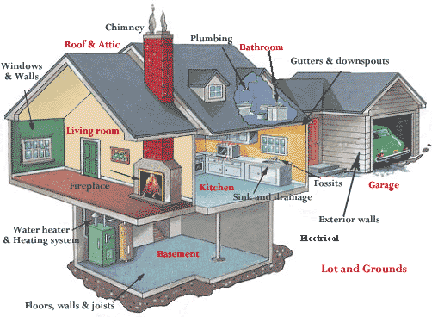 NYC mold inspection for homes