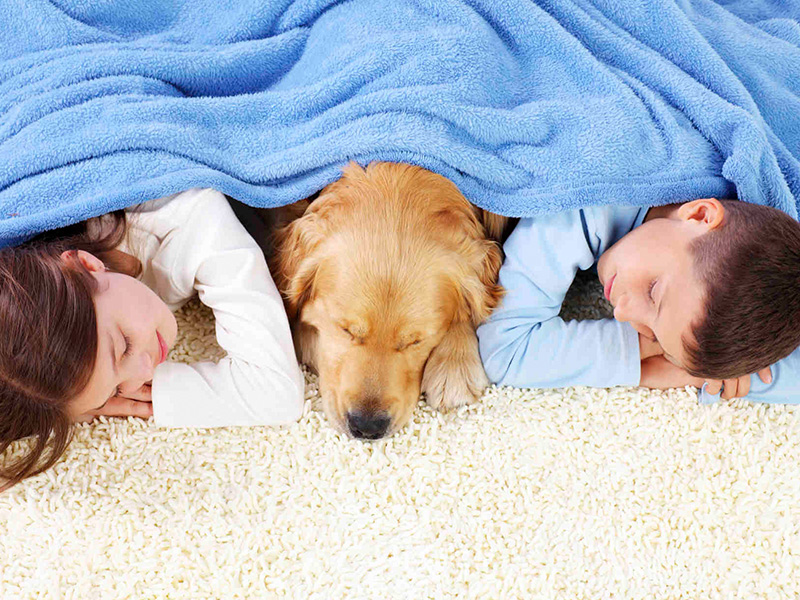 Company Logo For Best Carpet Repair Companies Anaheim Hills'