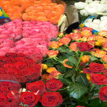 Florist4'