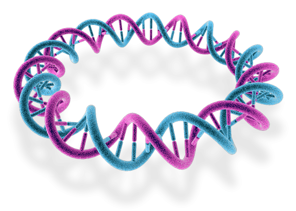 VectorBuilder Revolutionizes the Cloning Industry