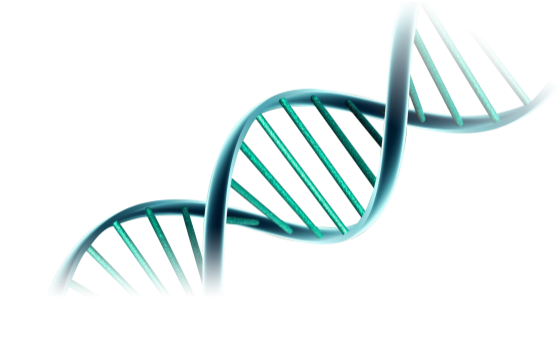 VectorBuilder Revolutionizes the Cloning Industry