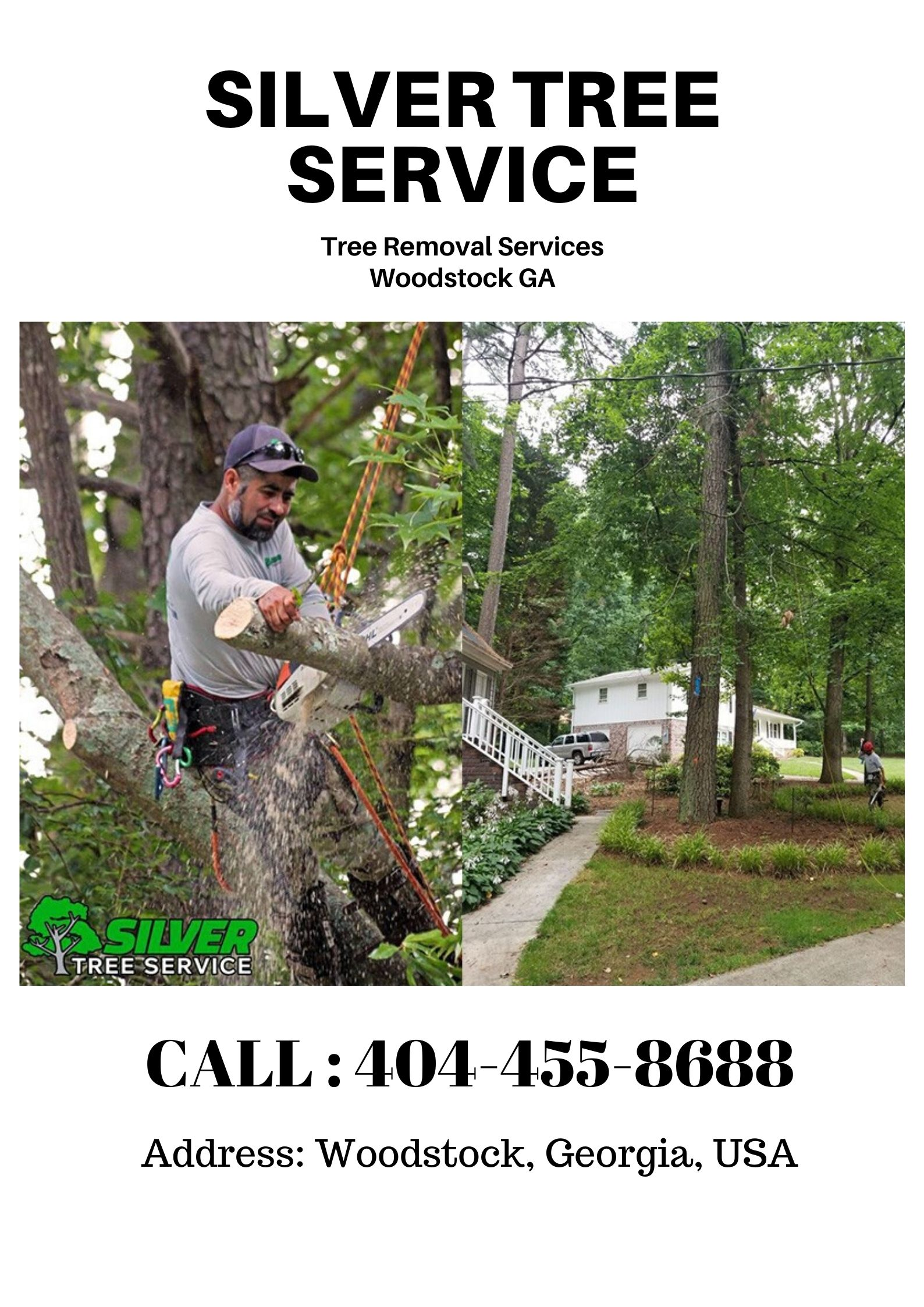 Company Logo For Tree Removal Cost in Woodstock GA'