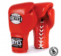 best MMA Grappling Gloves in USA Logo