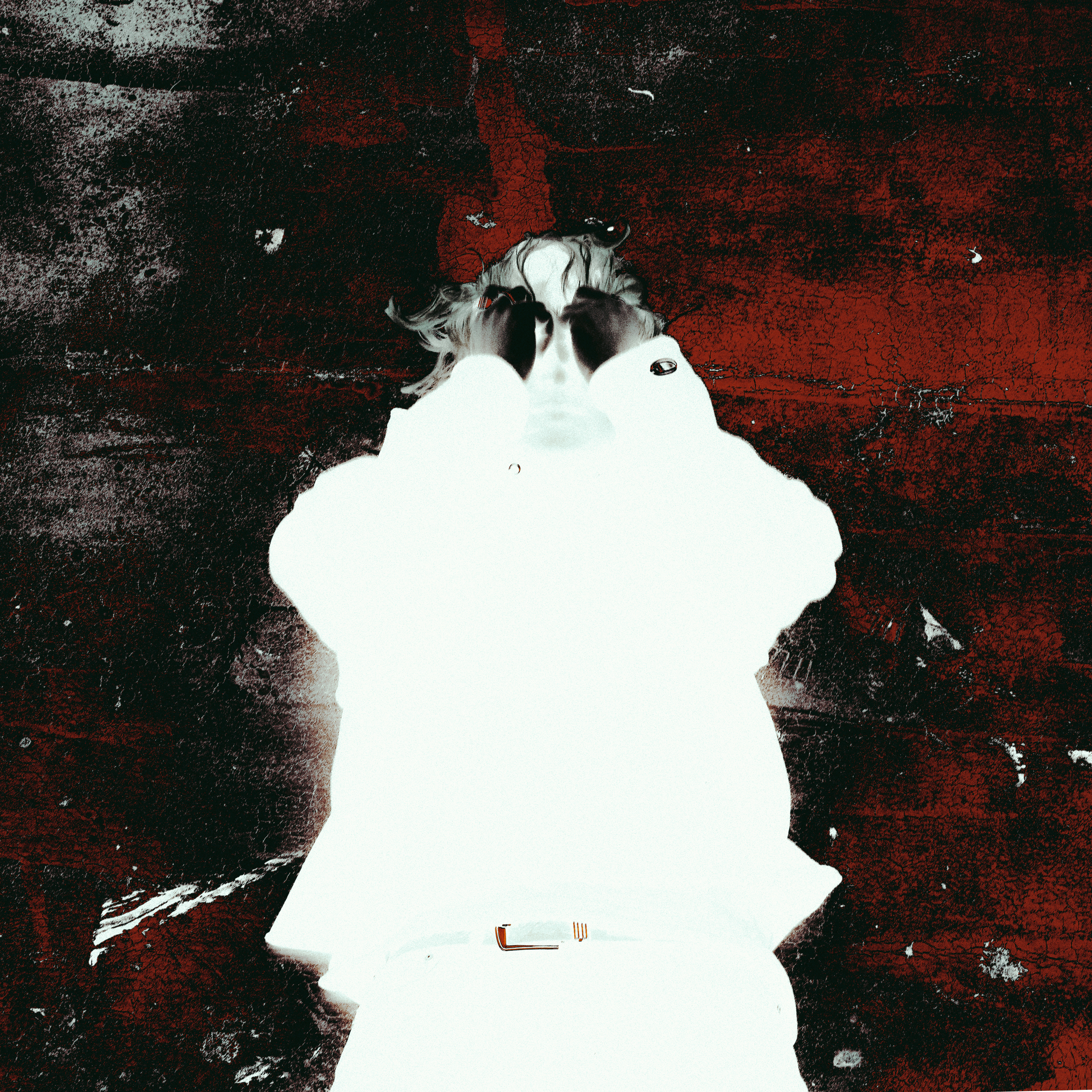 ALBUM COVER by Brian Vu'