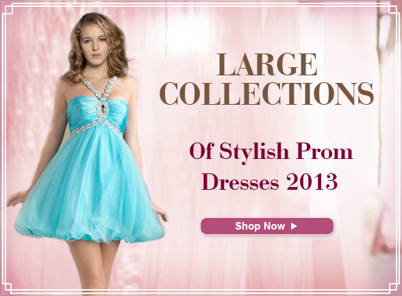 Cheap Prom Dresses 2013'