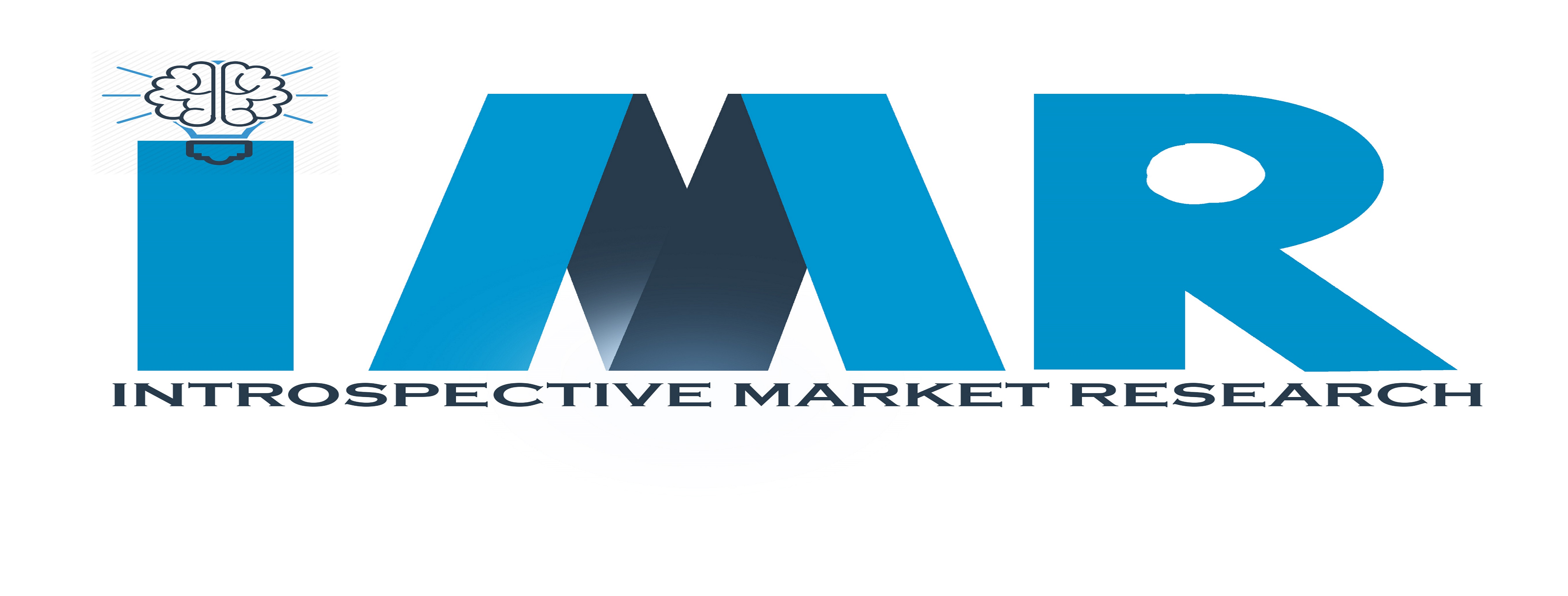 Company Logo For Introspective Market Research'
