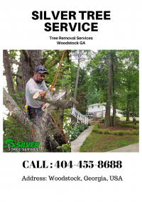 Tree Removal Company Near Me Woodstock GA Logo