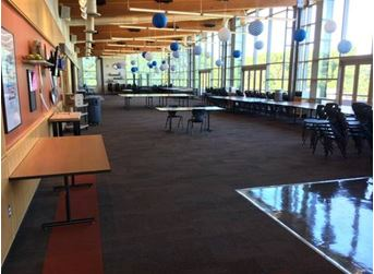 DNA Pro Cleaning &amp; Restoration'