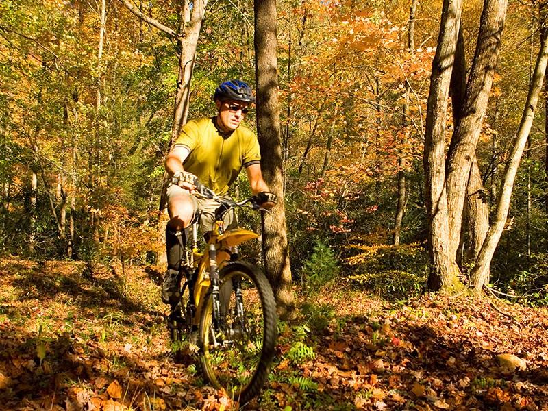 New Construction Homes For Sale Black Mountain NC Logo