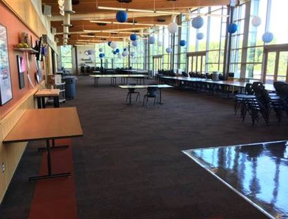 DNA Pro Cleaning and Restoration'