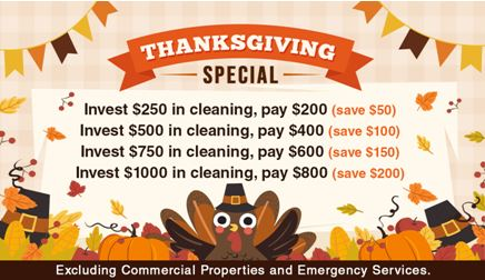 DNA Pro Cleaning &amp; Restoration'