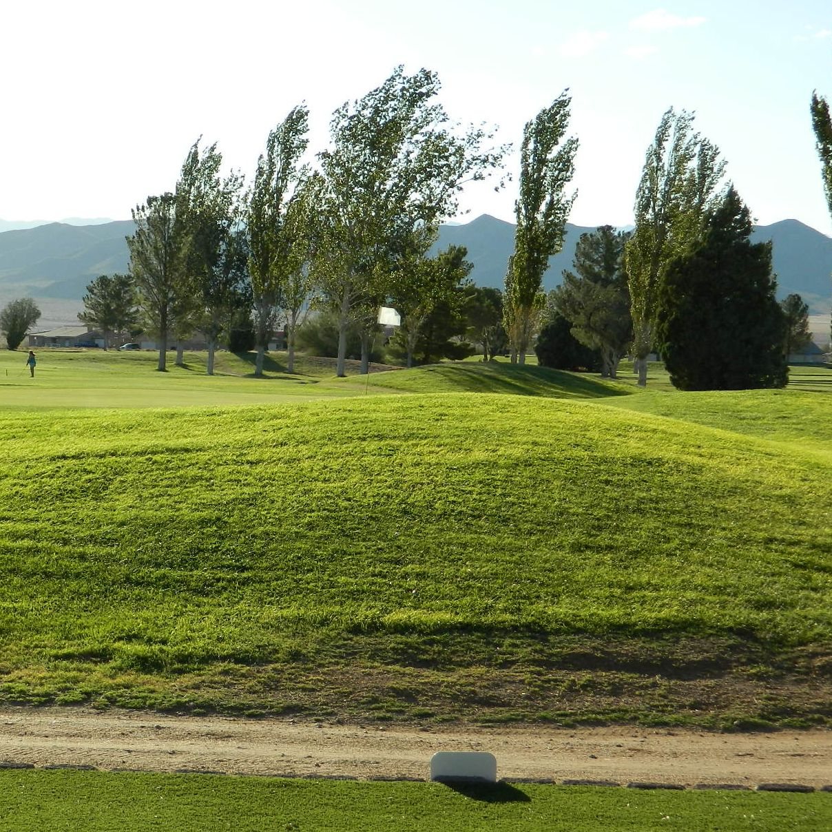 Properties At Valle Vista Logo