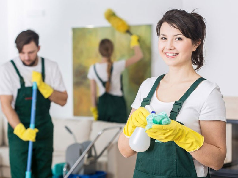 Company Logo For Professional Janitors'