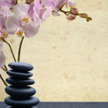 Wellness Center'