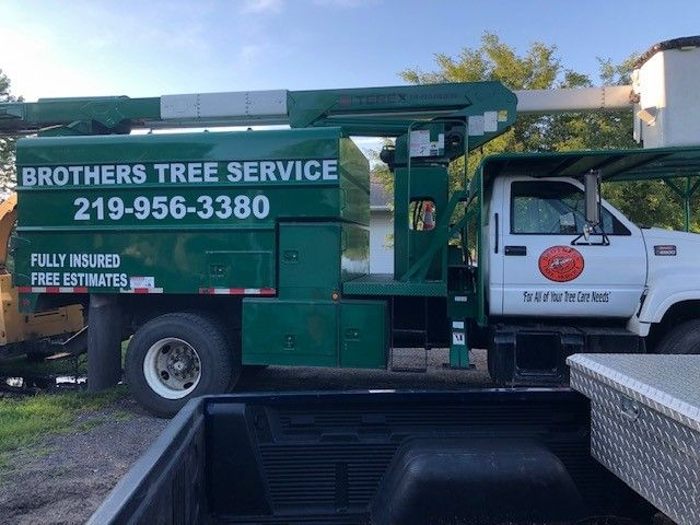 Tree Removal'