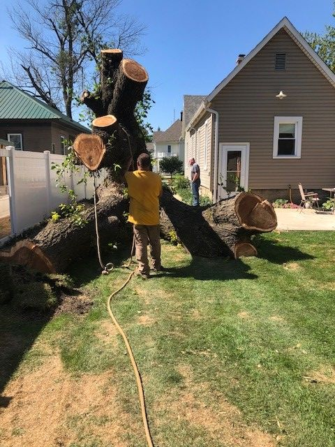 Stump Grinding'