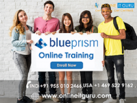 Blue Prism Online Training Logo