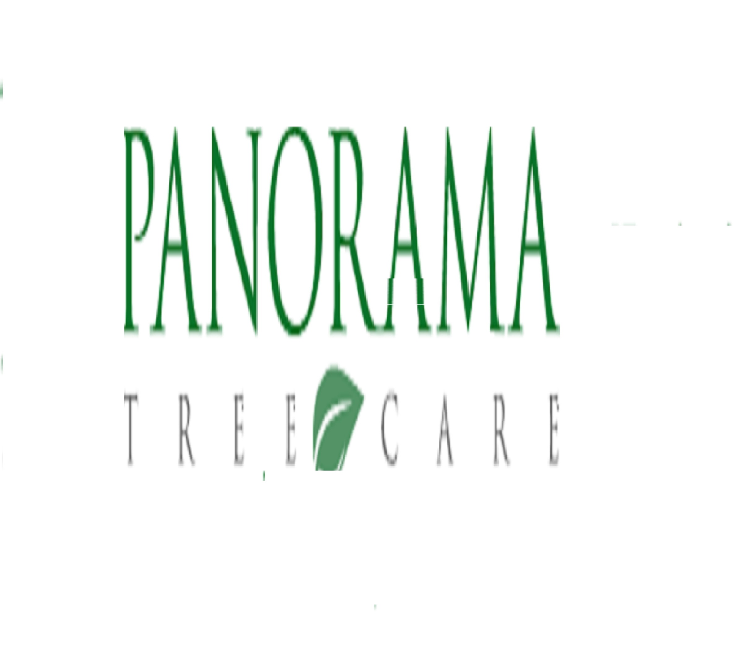 Company Logo For Panorama Tree Care- Brandon Tree Services'