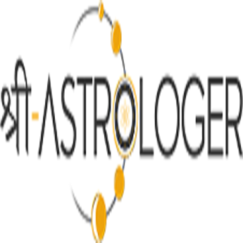 Company Logo For Shri astrologer'