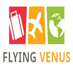 Company Logo For Flying Venus Travels Pvt Ltd'