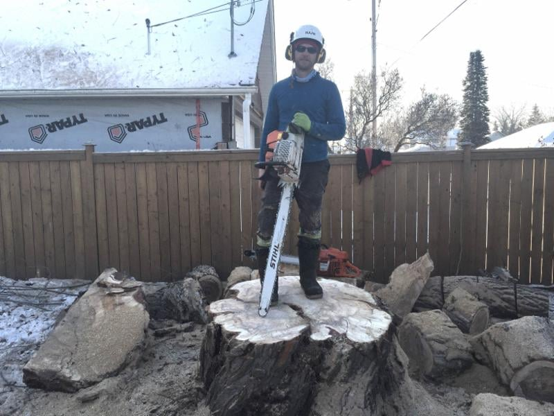 Stump Grinding Edmonton'