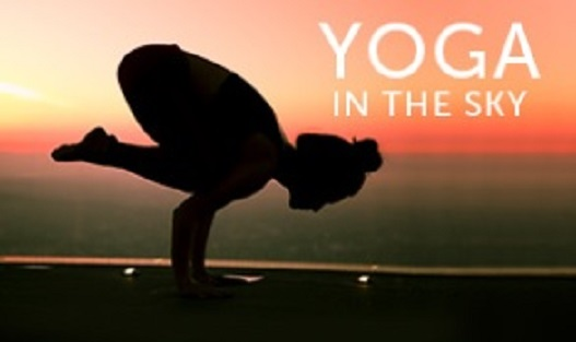 Company Logo For Skyspace LA'