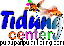 Pulau Tidung Center'