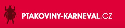 karnevalov&eacute; kost&yacute;my