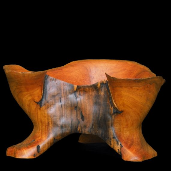 Texas Hill Country Art'