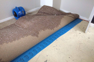 Flood Repair Auckland'