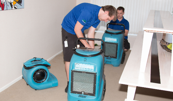 Carpet Cleaning Auckland'