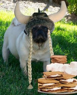 SUN (Severe Urine Neutralizer) Concentrate - Complete Urine