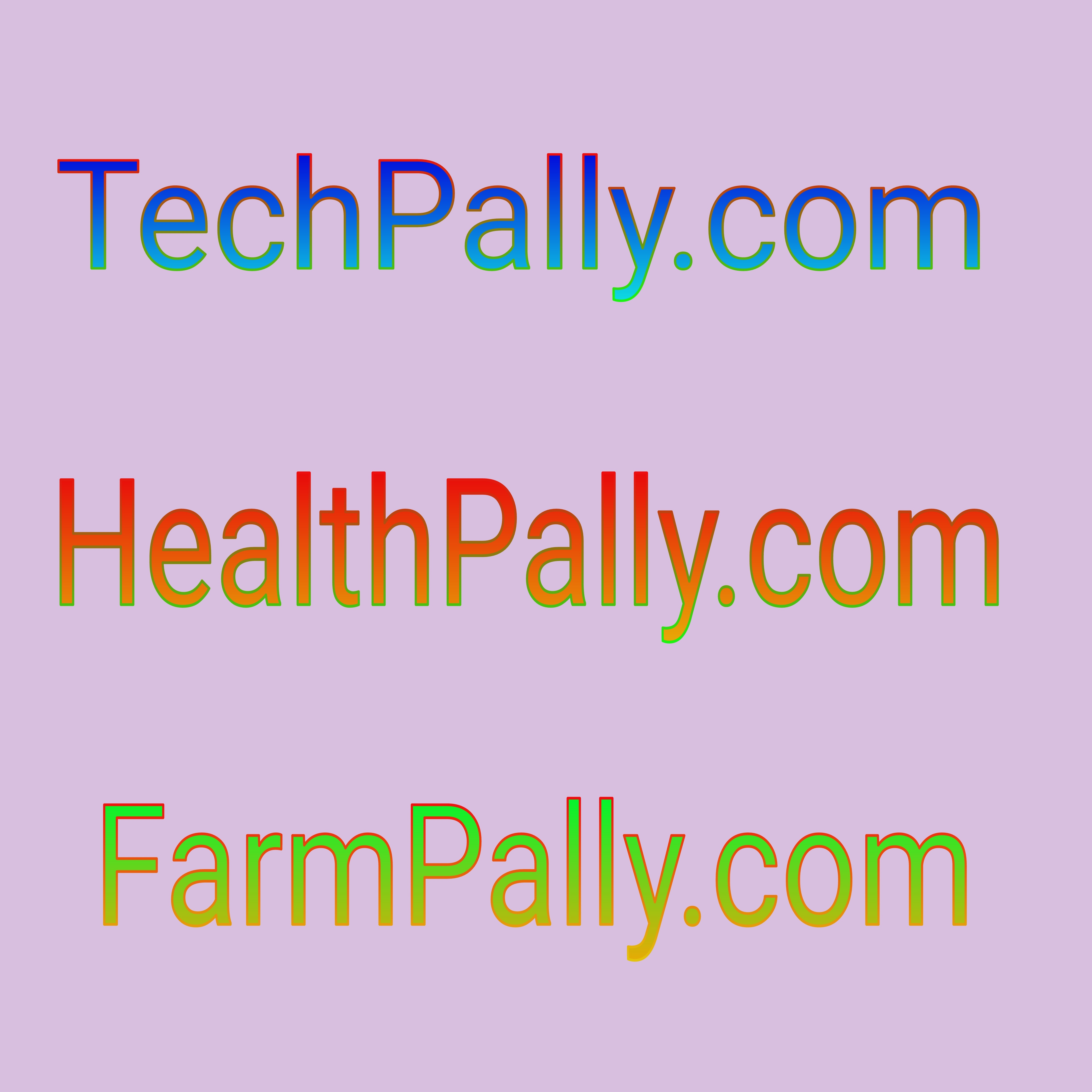 Company Logo For TechPally.com digital marketing agency'