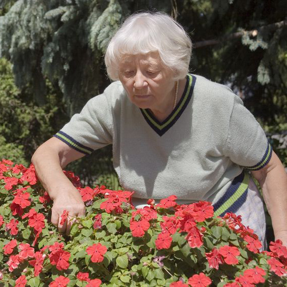 In Home Nursing Care'