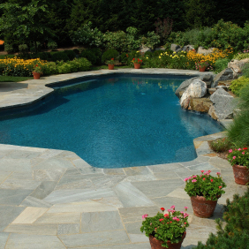 Custom Swimming Pools'