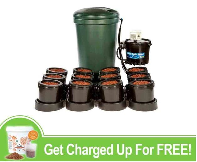 Green Spirit Hydroponics'