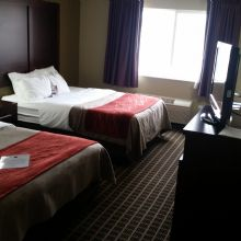 Hotels'